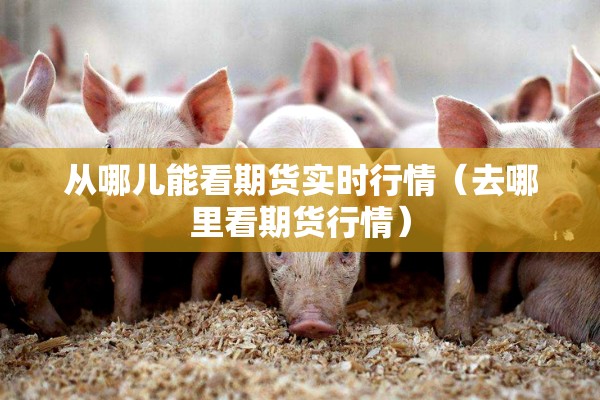 从哪儿能看期货实时行情（去哪里看期货行情）