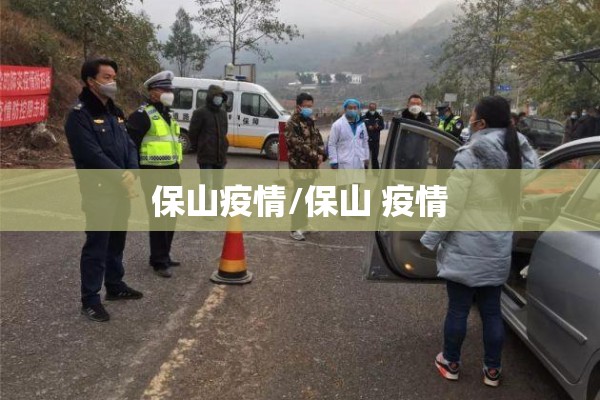保山疫情/保山 疫情