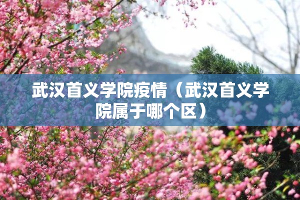 武汉首义学院疫情（武汉首义学院属于哪个区）