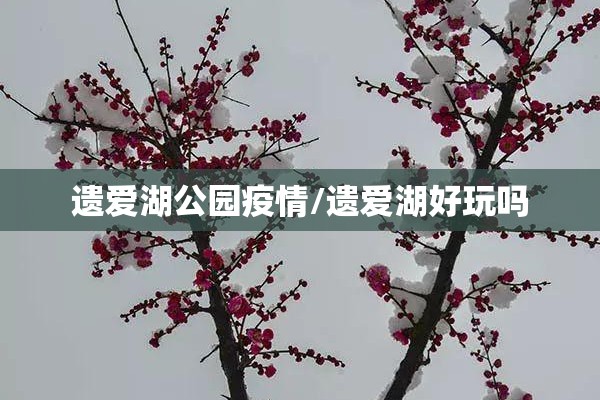 遗爱湖公园疫情/遗爱湖好玩吗