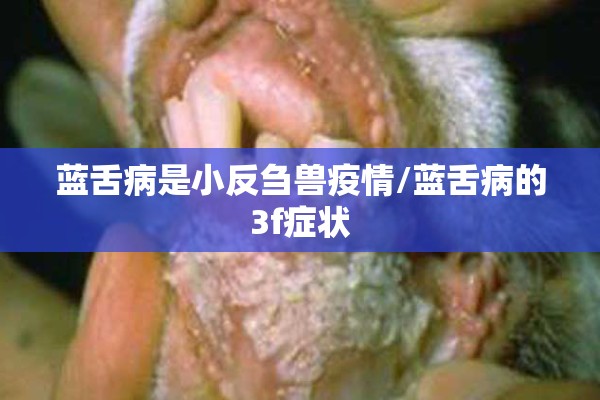 蓝舌病是小反刍兽疫情/蓝舌病的3f症状