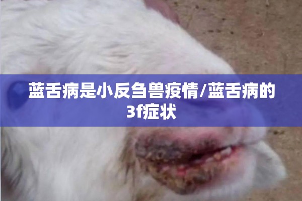 蓝舌病是小反刍兽疫情/蓝舌病的3f症状