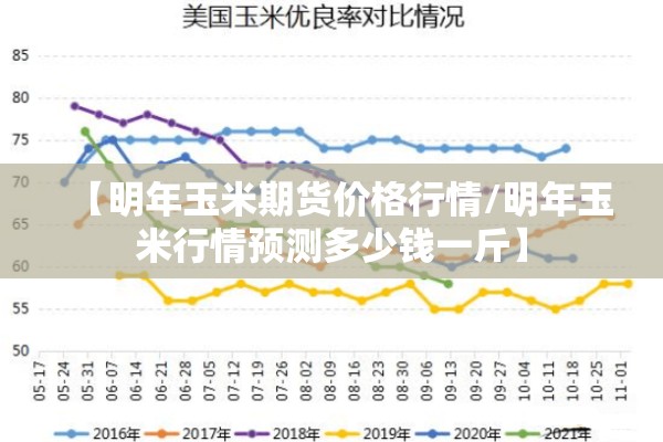 【明年玉米期货价格行情/明年玉米行情预测多少钱一斤】