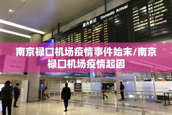 南京禄口机场疫情事件始末/南京禄囗机场疫情起因