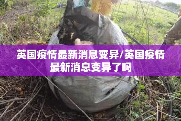 英国疫情最新消息变异/英国疫情最新消息变异了吗