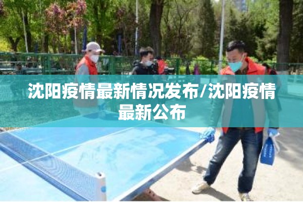 沈阳疫情最新情况发布/沈阳疫情最新公布