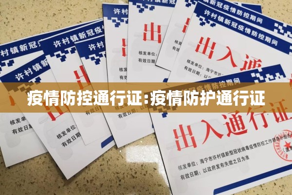 疫情防控通行证:疫情防护通行证