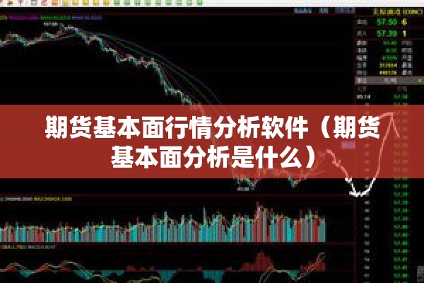 期货基本面行情分析软件（期货基本面分析是什么）