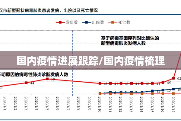 国内疫情进展跟踪/国内疫情梳理