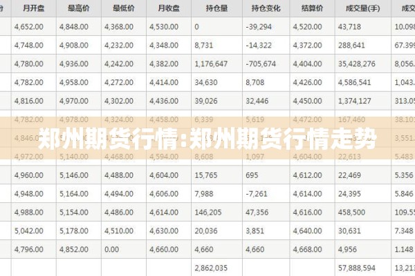 郑州期货行情:郑州期货行情走势
