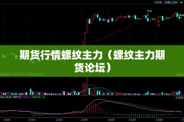 期货行情螺纹主力（螺纹主力期货论坛）