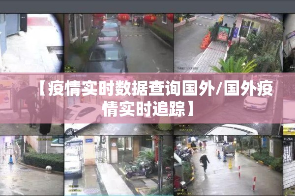 【疫情实时数据查询国外/国外疫情实时追踪】