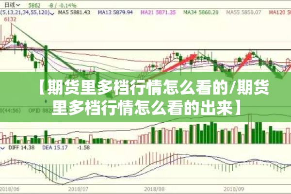 【期货里多档行情怎么看的/期货里多档行情怎么看的出来】