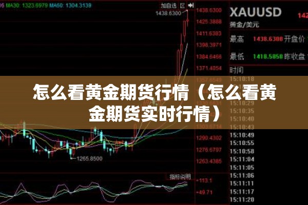 怎么看黄金期货行情（怎么看黄金期货实时行情）