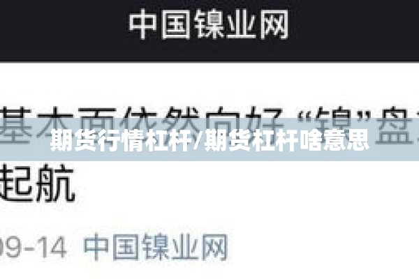 期货行情杠杆/期货杠杆啥意思