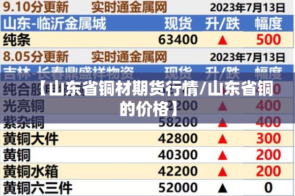 【山东省铜材期货行情/山东省铜的价格】
