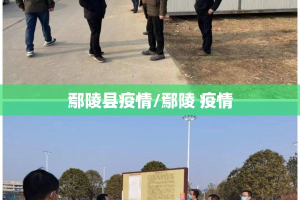 鄢陵县疫情/鄢陵 疫情