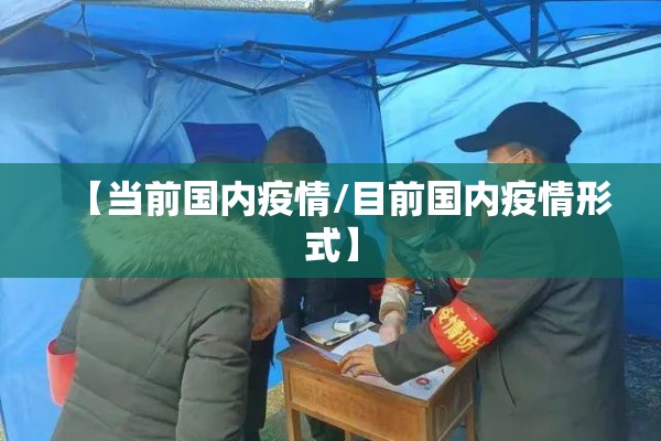 【当前国内疫情/目前国内疫情形式】