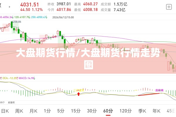 大盘期货行情/大盘期货行情走势图