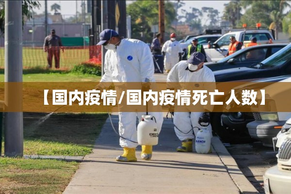 【国内疫情/国内疫情死亡人数】
