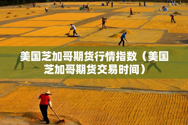 美国芝加哥期货行情指数（美国芝加哥期货交易时间）
