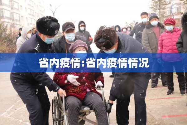 省内疫情:省内疫情情况