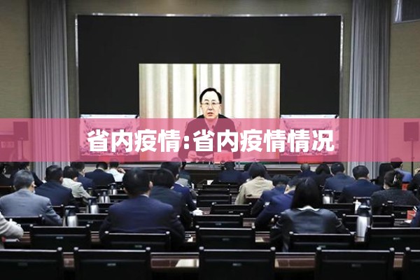 省内疫情:省内疫情情况