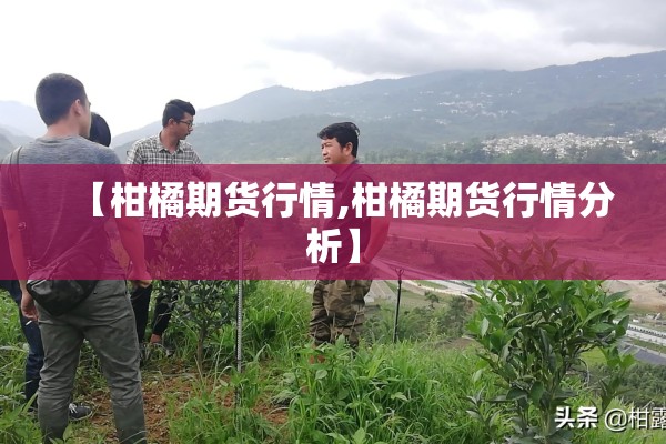 【柑橘期货行情,柑橘期货行情分析】