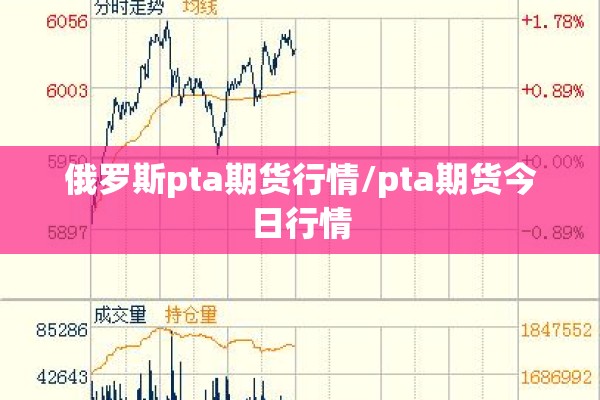 俄罗斯pta期货行情/pta期货今日行情