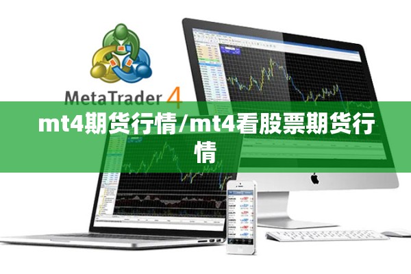 mt4期货行情/mt4看股票期货行情