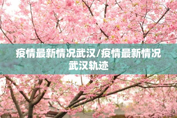 疫情最新情况武汉/疫情最新情况武汉轨迹