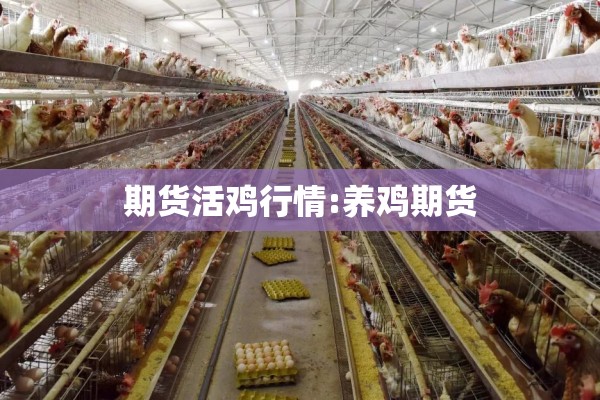 期货活鸡行情:养鸡期货