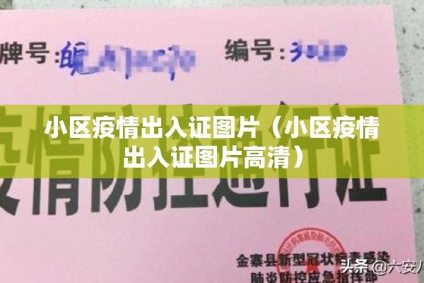 小区疫情出入证图片（小区疫情出入证图片高清）
