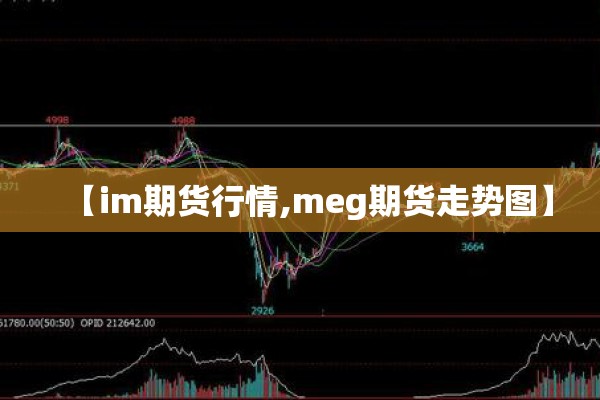 【im期货行情,meg期货走势图】