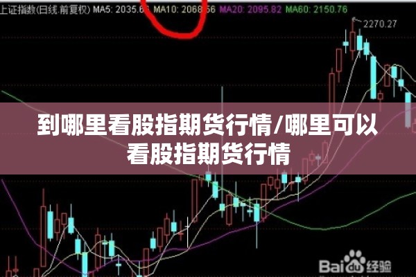 到哪里看股指期货行情/哪里可以看股指期货行情