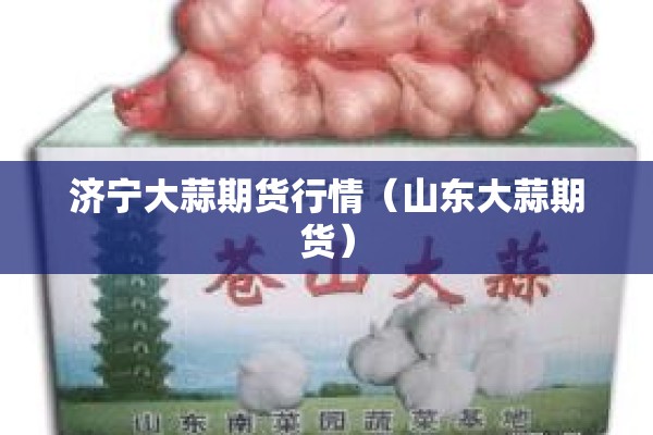 济宁大蒜期货行情（山东大蒜期货）