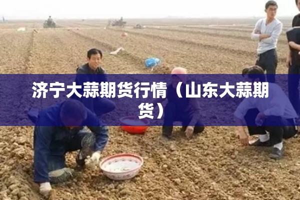 济宁大蒜期货行情（山东大蒜期货）