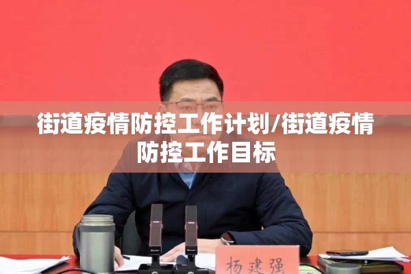 街道疫情防控工作计划/街道疫情防控工作目标