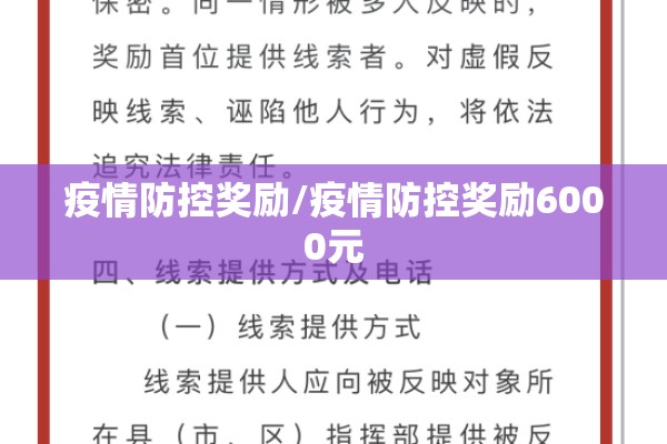 疫情防控奖励/疫情防控奖励6000元