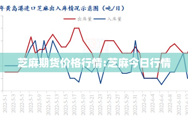 芝麻期货价格行情:芝麻今日行情