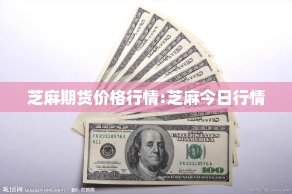 芝麻期货价格行情:芝麻今日行情