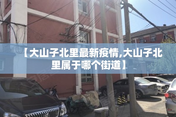 【大山子北里最新疫情,大山子北里属于哪个街道】