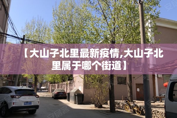 【大山子北里最新疫情,大山子北里属于哪个街道】