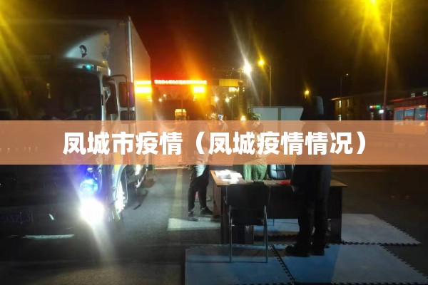 凤城市疫情（凤城疫情情况）