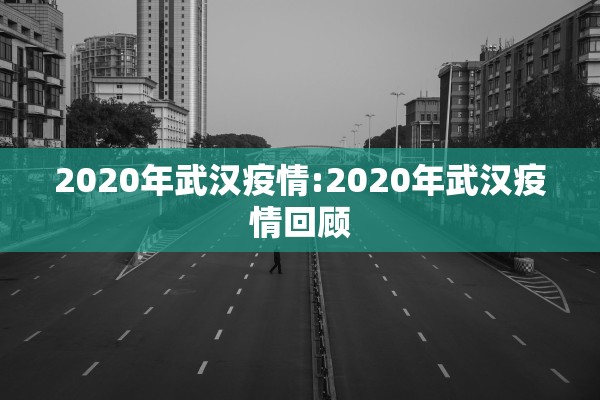 2020年武汉疫情:2020年武汉疫情回顾