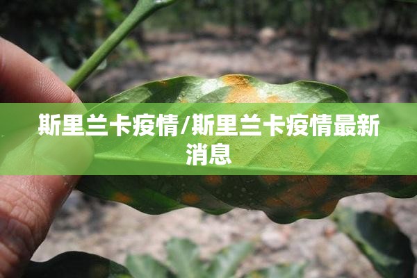 斯里兰卡疫情/斯里兰卡疫情最新消息