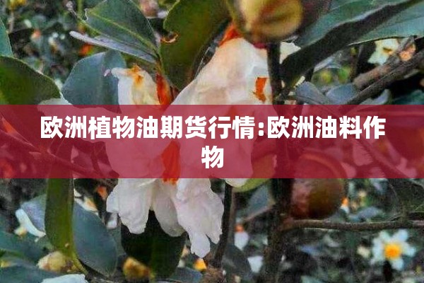 欧洲植物油期货行情:欧洲油料作物