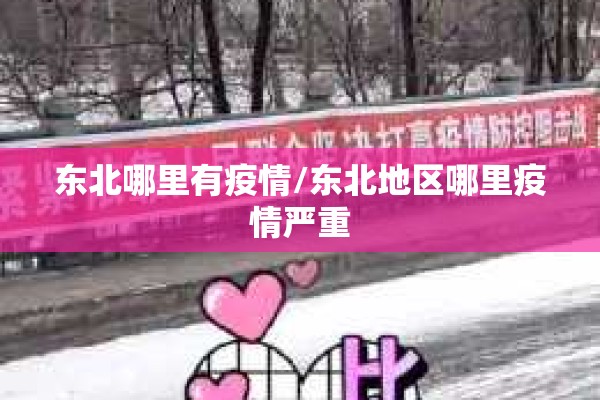 东北哪里有疫情/东北地区哪里疫情严重