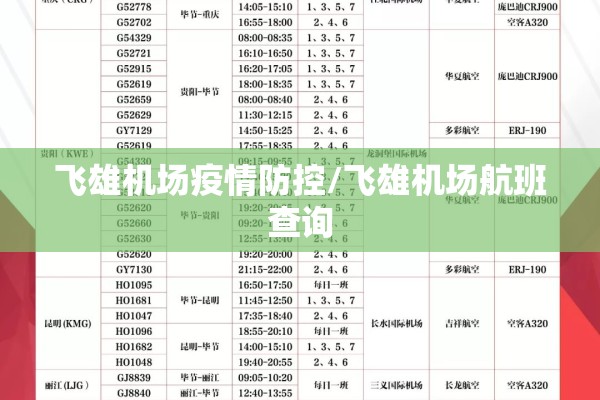 飞雄机场疫情防控/飞雄机场航班查询