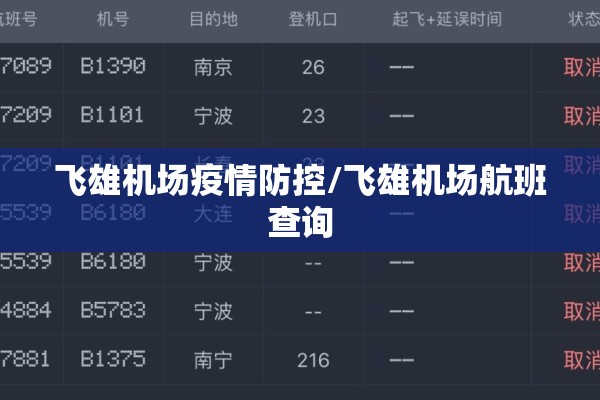 飞雄机场疫情防控/飞雄机场航班查询